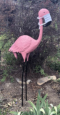 Yard flamingo with a quarantine mask. 